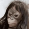 🌈🍌🙊✨️Monos Ramdon Mood✨️🙊🍌🌈 15