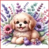 💥Animalitos tiernos 💥 27