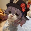 🧿Michichos cat🐈 25