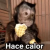 Hace calor