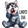 Buenos días 11 Cachorros 🇲🇽 24