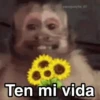 🐶🐱🐵 ANIMALITOS 🐵🐱🐶 18
