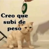 Creo que subí de peso