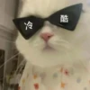 冷 酷