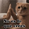 No es lo saǝrǝ anb