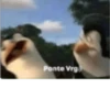 Animales cura depresión🦦 15