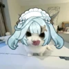 URALANET ho