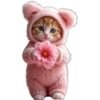 Gatitos Mix 🐱🐈 1 20