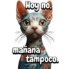 Animales frases meme😄 13