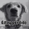 🧿Memes Pop 11😎🤣 28