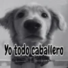 🧿Memes Pop 11😎🤣 29