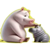Amor Porcino💞1🇵🇪Clásica 28