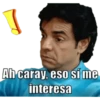 familia peluche y palta 10