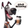 Buenos días 11 Cachorros 🇲🇽 27