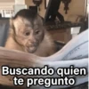 SARA Buscando quien te pregunto