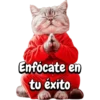 Animales frases meme😄 15