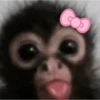🌈🍌🙊✨️Monos Ramdon Mood✨️🙊🍌🌈 21