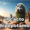 il cacto hipopotamo
