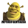 Sherk memes clasicos 💚💫 14