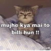 Meow Memes-2😼 19