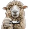 Animales frases meme😄 16