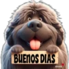 Buenos días 11 Cachorros 🇲🇽 30