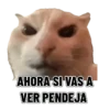 Memes clásicos gatito 😺🔥 16