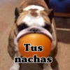 🧿Memes Pop 11😎🤣 30