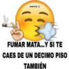 MEMESILLOS 7 CLÁSICA 28