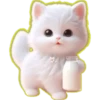 Gatito Blanco🎀💞1🇵🇪Clásica 6