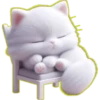 Gatito Blanco🎀💞1🇵🇪Clásica 7