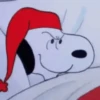 🐾Snoopy enojado 😡 3 🦴 5
