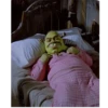 Shrek Glamour 4