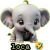 loca °
