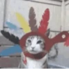 Más y más gatitos 6