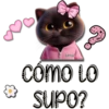Alma Cómo to SUPO?