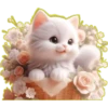 Gatito Blanco🎀💞1🇵🇪Clásica 13