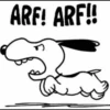 🐾Snoopy enojado 😡 3 🦴 12