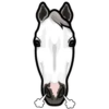 Leo 5