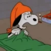 🐾Snoopy enojado 😡 3 🦴 16
