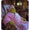 Shrek Glamour 7