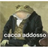 mi amazo ▭si ▭no risp 7