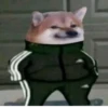 Sad 13