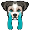 Toby 14