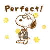 Lovely Snoopy 2💖 C☆ 10