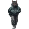 Gatos 8 👩🏻‍🎨 Img.1712 15
