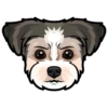 Toby 15