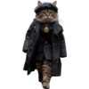 Gatos 8 👩🏻‍🎨 Img.1712 16