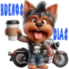 Buenos días 12 Cachorros 🇲🇽 11