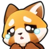 red panda 17